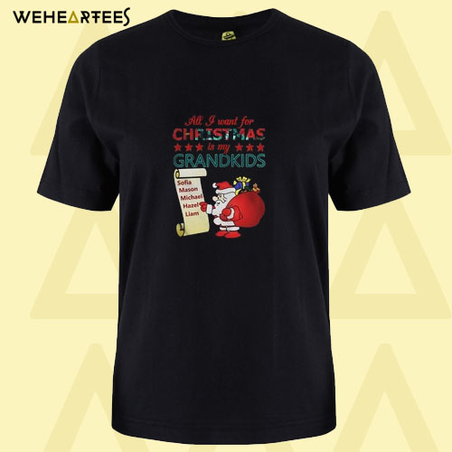 All I want for Christmas T Shirt