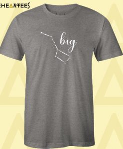 Big Little T Shirt