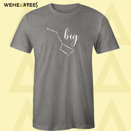 Big Little T Shirt