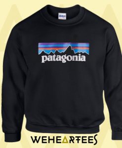 the Patagonia Sweatshirt