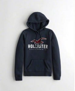 Hollister hoodie dap