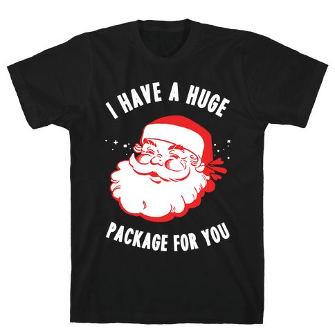 I Have A Huge Package For You Santa Tshirt DAP