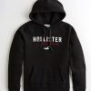 Mens Hollister Black Logo Hoody DAP