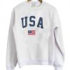 USA Flag Sweatshirt DAP