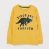 DINOS ARE FOREVER SWEATSHIRT DAP