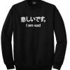 I am Sad japan SWEATSHIRT DAP