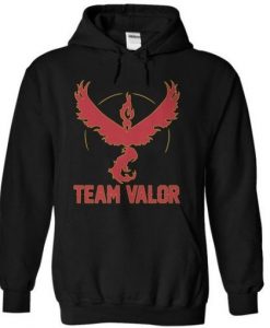 Team Valor Hoodie DAP