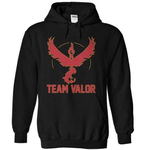 Team Valor Hoodie DAP