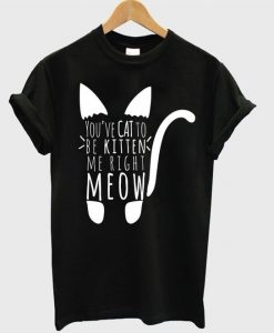 You've cat to be kitten me right meow t-shirt DAP