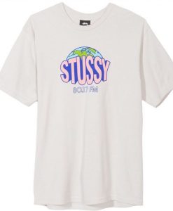 stussy T-shirt DAP