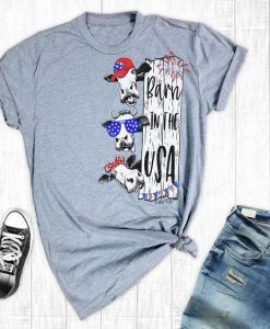 BARN IN THE USA Tshirt DAP
