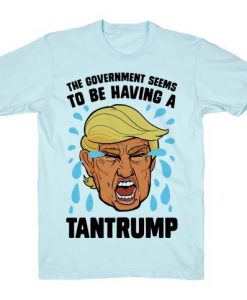 The Government Seems To Be Having A Tantrump T-Shirt DAP