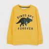 DINOS ARE FOREVER SWEATSHIRT ZNF08
