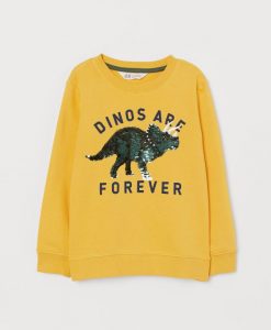 DINOS ARE FOREVER SWEATSHIRT ZNF08