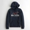 Hollister hoodie dap