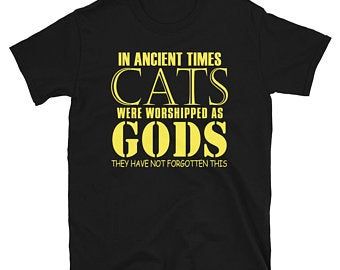 Cats T-Shirts DAP