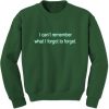I can’t remember what i forgot to forget sweatshirt