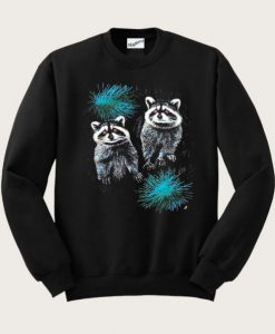 Raccoon Raglan Sweatshirt