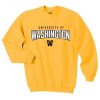 University of Washington Sweatshirt