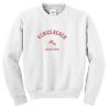 Venice Beach Sweatshirt