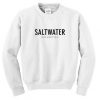 saltwater sweatshirt