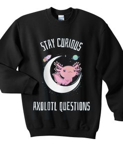 stay curious sweatshirt