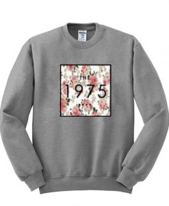 the 1975 sweatshirt