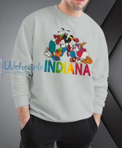 Vintage Disney sweatshirt NF