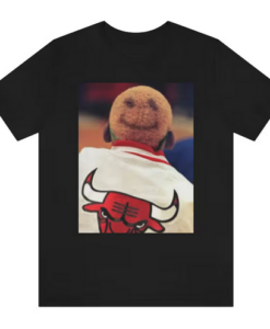Dennis Rodman Bull Chicago T-shirt AL